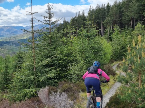 Highland Mountain Biking